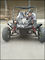 250cc Single Cylinder 4 Stroke Cdi Ctv Go Kart Buggy With 1 Forward Transmission
