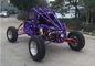 4 Stroke Go Kart Buggy 1300cc Water Cooled  4 Cylinder EFI Electronic Fuel Injection