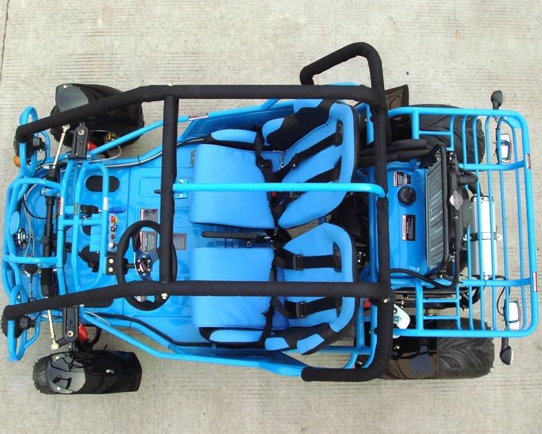 250cc Go Kart Buggy Double A Arm / Single A - Arm With CVT Reverse / Road Tire