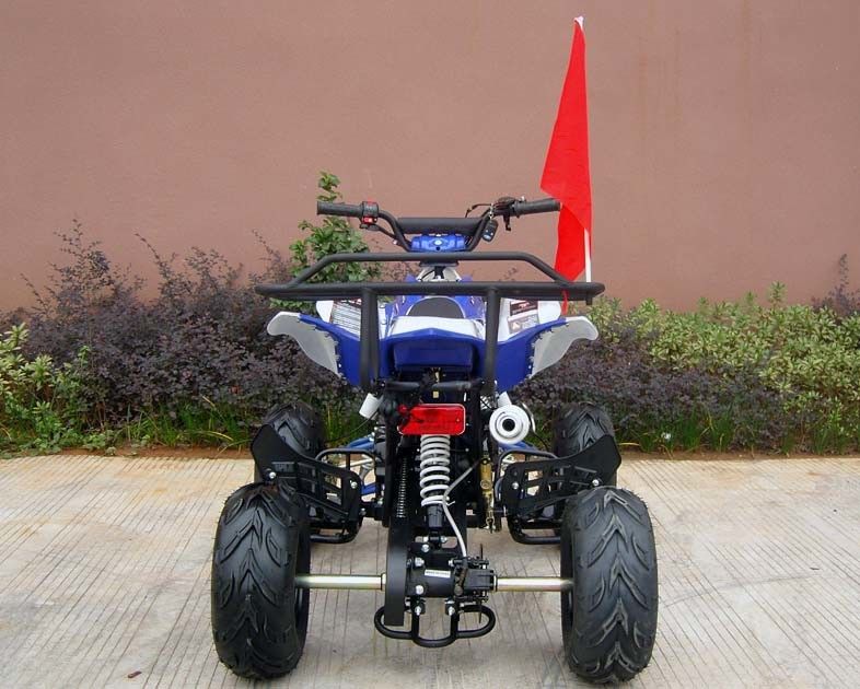 Hamulec tarczowy przedni / tylny, czterokołowy dla dorosłych, elektryczny startowy czterokołowy o pojemności 110 cm3