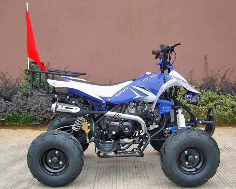 Hamulec tarczowy przedni / tylny, czterokołowy dla dorosłych, elektryczny startowy czterokołowy o pojemności 110 cm3