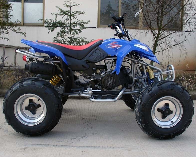 Bardzo duży rozmiar 10 