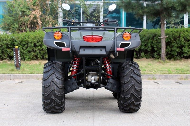 Adult ATV czterokołowy o napędzie na cztery koła z bardzo dużym rozmrażanym powietrzem napędem wału o zwiększonej pojemności