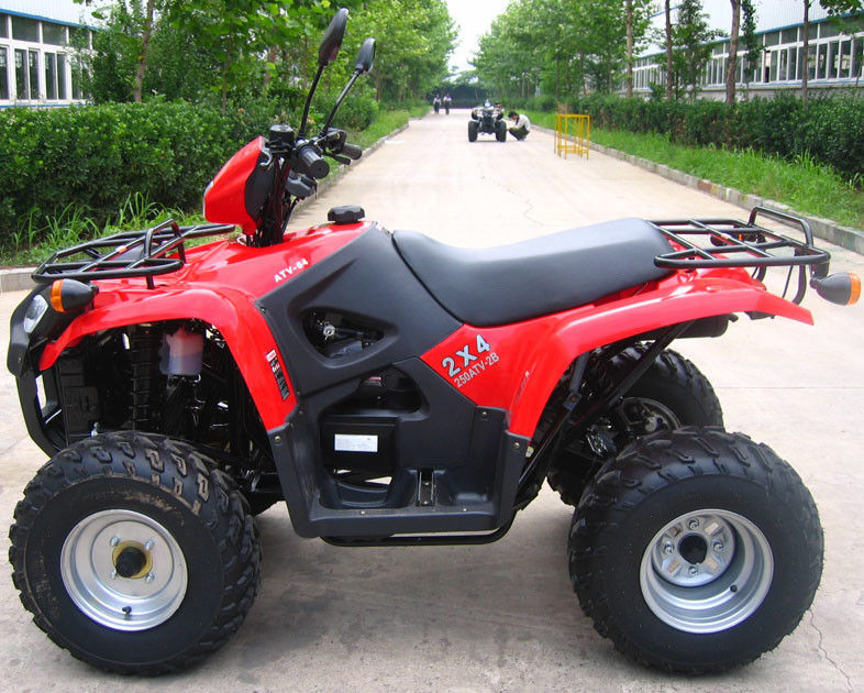 Chłodzony olejem Youth Racing Atv 260cc z dużym biegiem wstecznym / skrzynią biegów wewnątrz