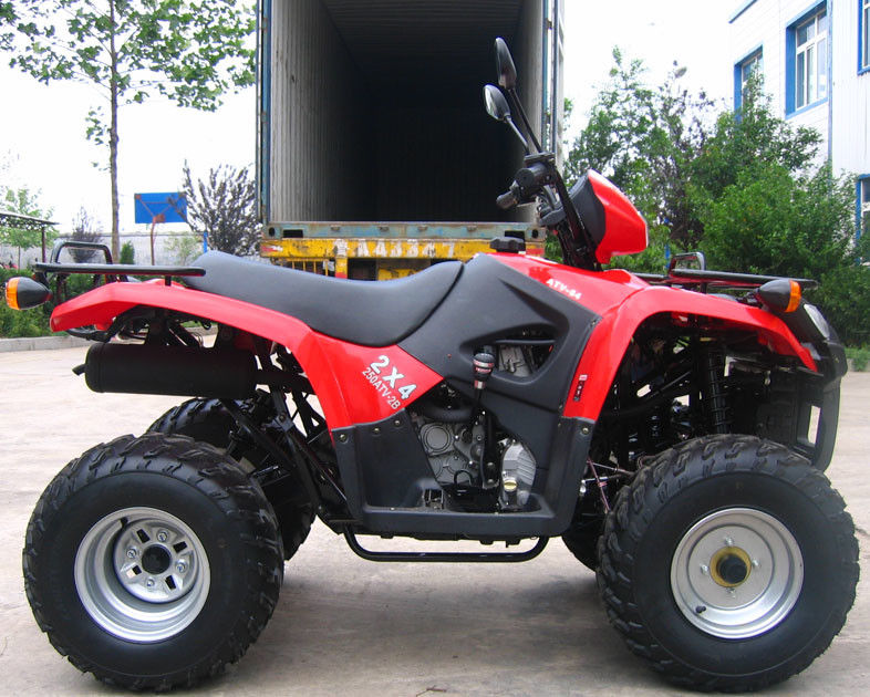 Chłodzony olejem Youth Racing Atv 260cc z dużym biegiem wstecznym / skrzynią biegów wewnątrz