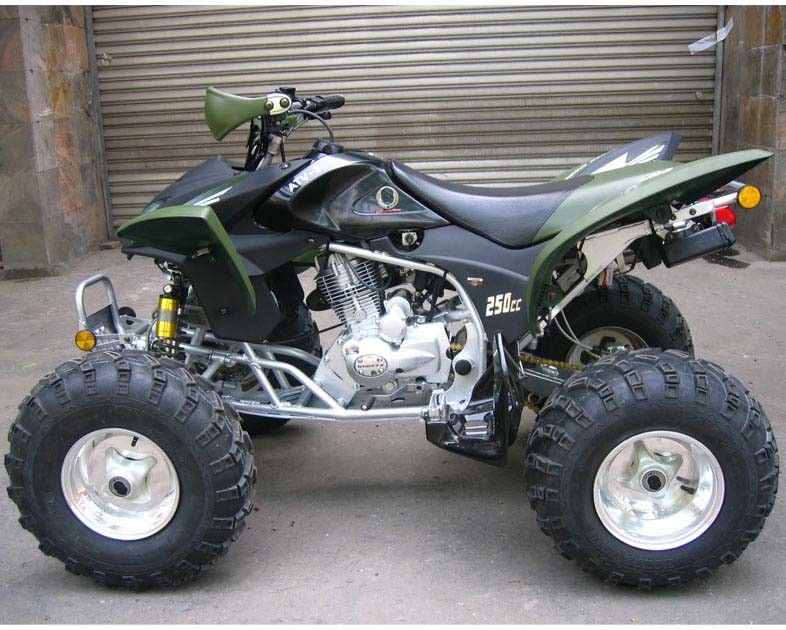 Wyjątkowo duży wyścigi młodzieżowe Atv 250cc Atv Quad Bike CDI Electric Start Manual Clutch
