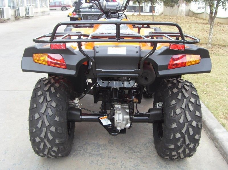 Pojazd użytkowy 300CC Atv 40,3mile / H z 2 miejscami, podwójnym ramieniem A / ramieniem pojedynczym