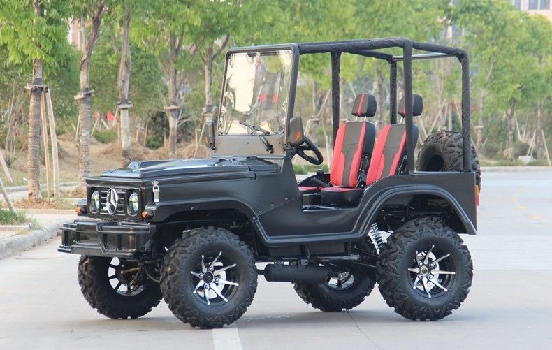 Mini Jeep 4WD Racing ATV Sports Go Kart Buggy dla dorosłych, 300cc Go Kart