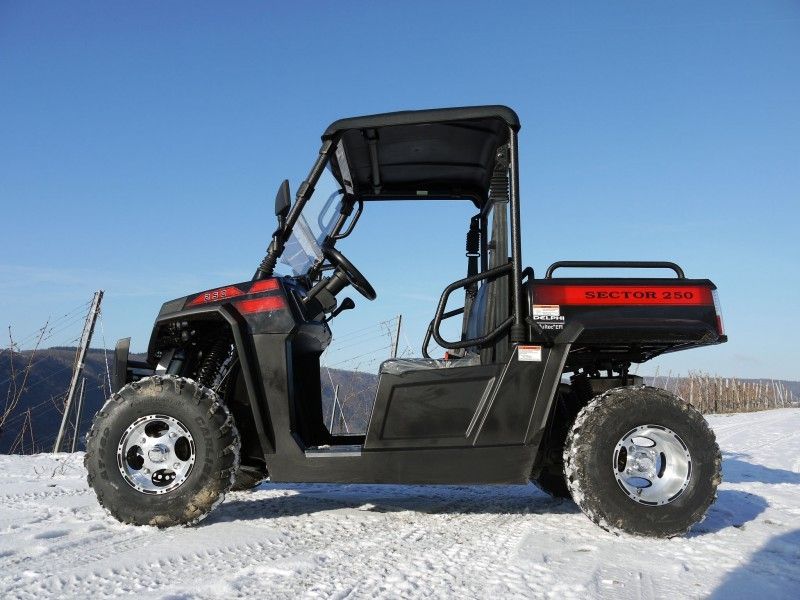 UTV 250 Tiltable Loader Winch Gas Utility Vehicles With Efi - Red, Windsheild i Hak holowniczy