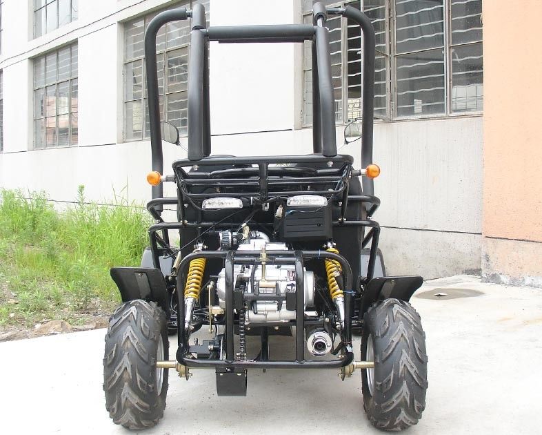 Mały 3-biegowy 110-centymetrowy wózek Go-Bug Buggy Two Seater Atv z CDI Electirc Start