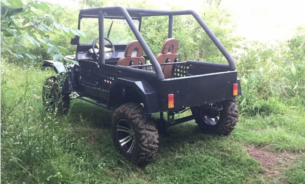 Chłodzony wodą Go Kart Buggy 300cc 3.0 X 140 X 170cm z mechanizmem różnicowym tylnej osi
