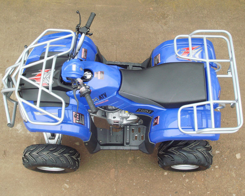 200c Large Size Youth Racing ATV 10 