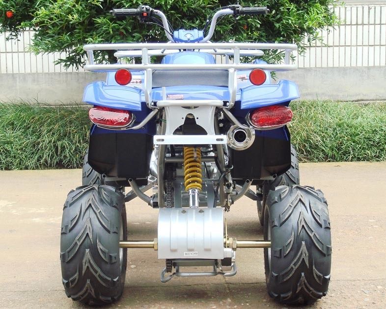 200c Large Size Youth Racing ATV 10 