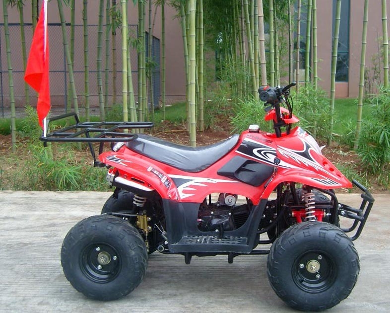 Podwójne wahacz przedni 70 cm ATV Quad Bike 80 kg Maksymalne obciążenie Wysoka wydajność