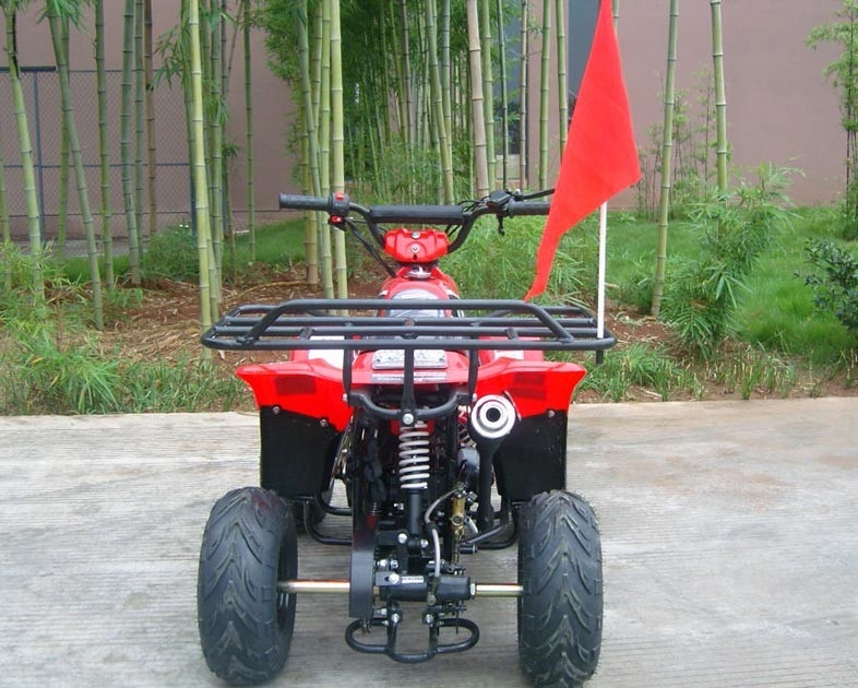 Podwójne wahacz przedni 70 cm ATV Quad Bike 80 kg Maksymalne obciążenie Wysoka wydajność