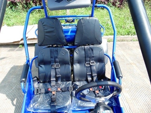 2,25 Gal 17,4 HP CDI Zapłon buggy CVT EFI 300 cm3