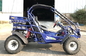6500rpm 300cc Riverbed EFI Fuel Injected Go Kart Buggy